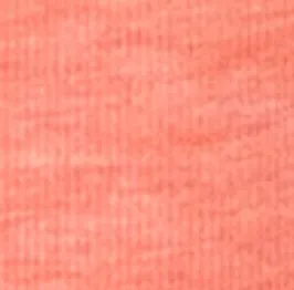 GS- TEST -  Heathered Original Polo
