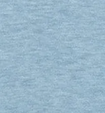 GS- TEST -  Heathered Original Polo