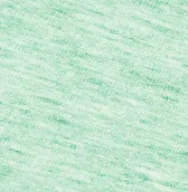 GS- TEST -  Heathered Original Polo