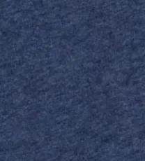 Notre Dame Heathered Spencer T-Shirt