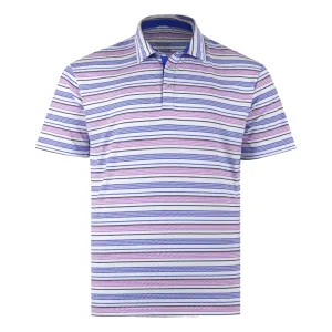 Tracks Polo